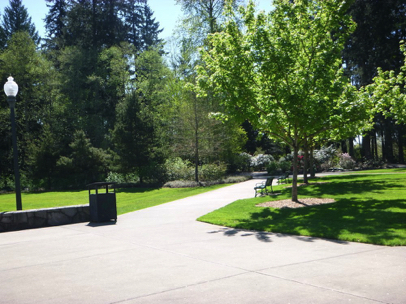 The 8' wide paved perimeter trail begins north of the picnic shelter with 2 benches